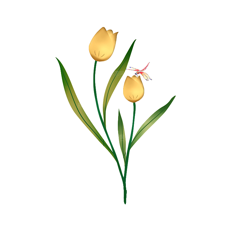 卡通手绘郁金香花朵花卉背景PNG免抠元素