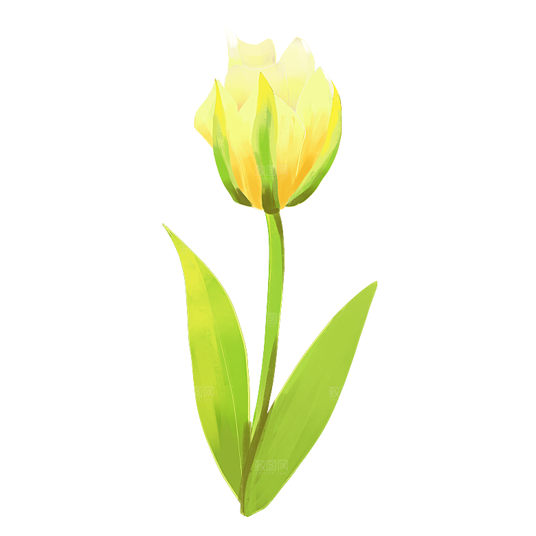 卡通手绘郁金香花朵花卉背景PNG免抠