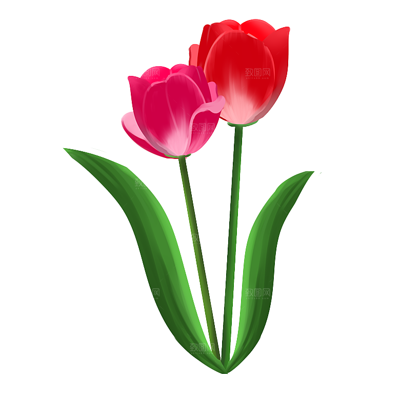 卡通手绘郁金香花朵花卉背景PNG免抠