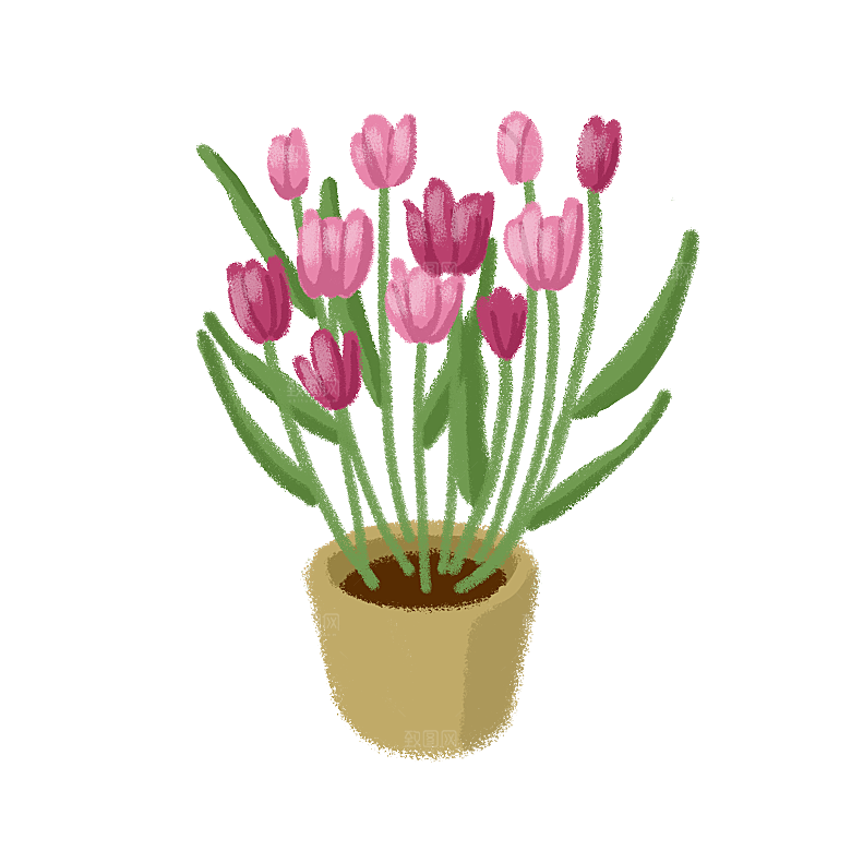 卡通手绘郁金香花朵花卉背景PNG免抠元素