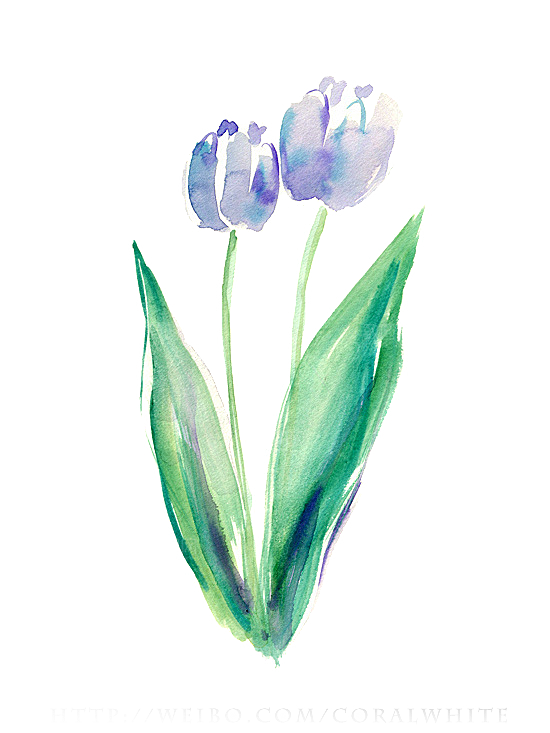 卡通手绘郁金香花朵花卉背景PNG免抠元素