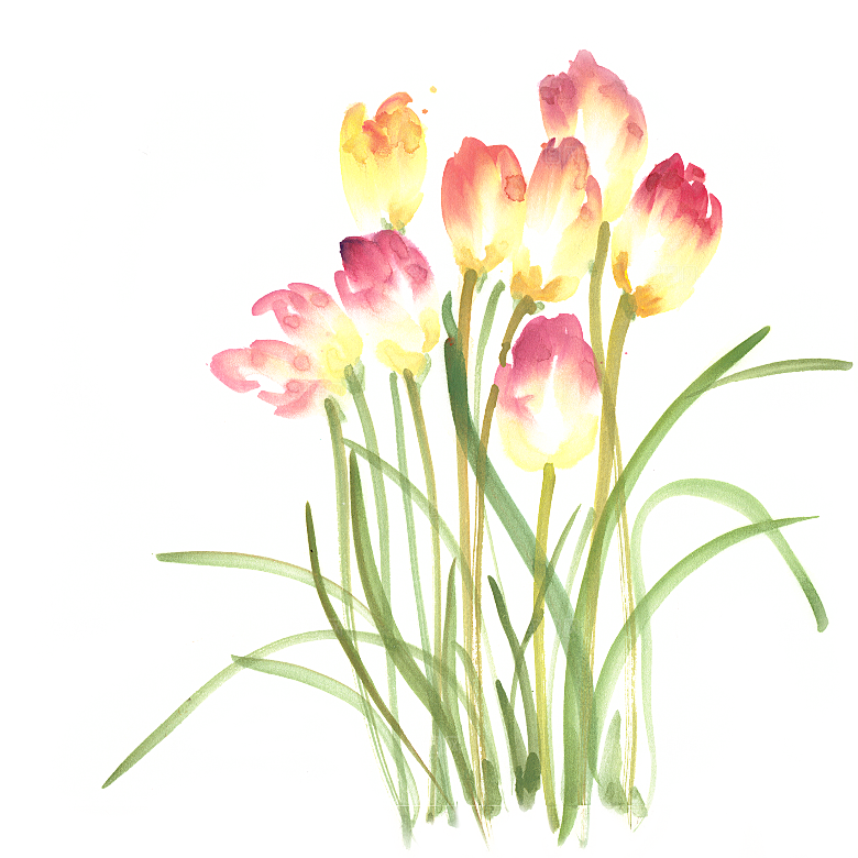 卡通手绘郁金香花朵花卉背景PNG免抠元素