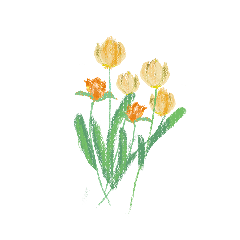 卡通手绘郁金香花朵花卉背景PNG免抠元素