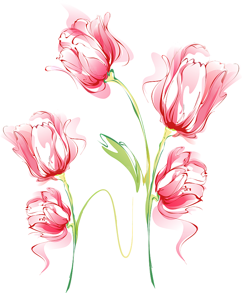 卡通手绘郁金香花朵花卉背景PNG免抠元素