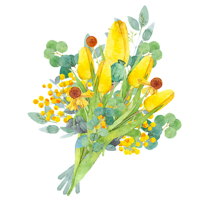 卡通手绘郁金香花朵花卉背景PNG免抠