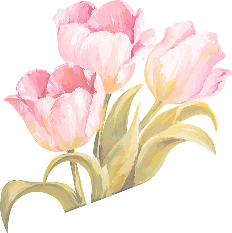 卡通手绘郁金香花朵花卉背景PNG免抠