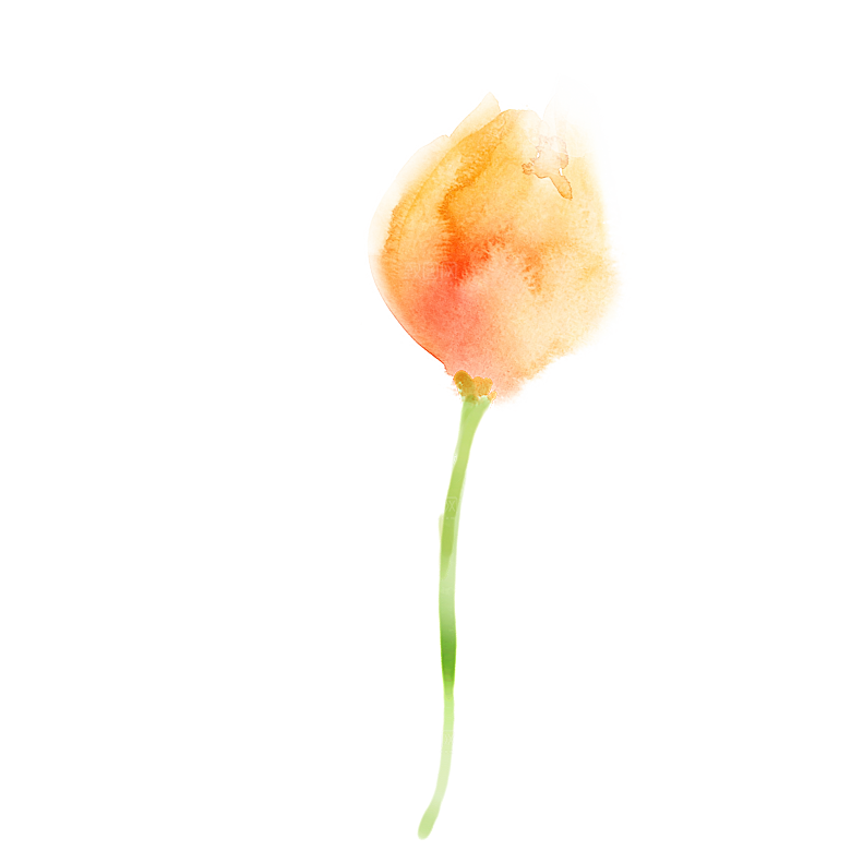 卡通手绘郁金香花朵花卉背景PNG免抠素材