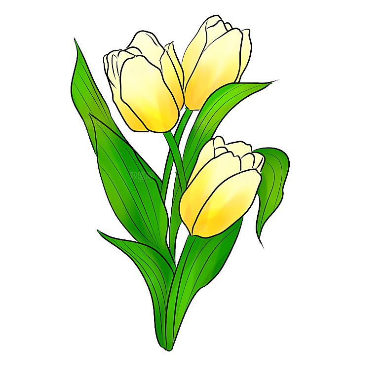 卡通手绘郁金香花朵花卉背景PNG免抠素材