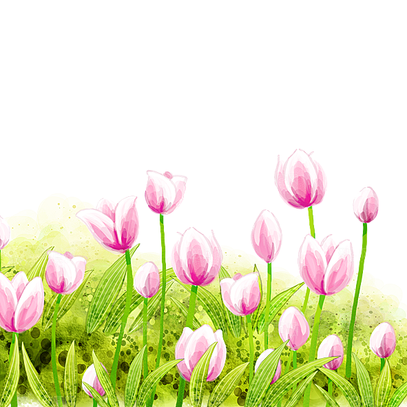 卡通手绘郁金香花朵花卉背景PNG免抠素材