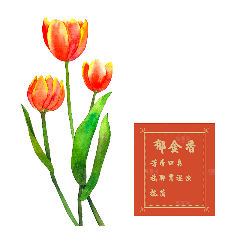 卡通手绘郁金香花朵花卉背景PNG免抠