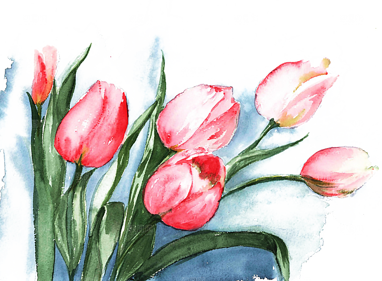 卡通手绘郁金香花朵花卉背景PNG免抠