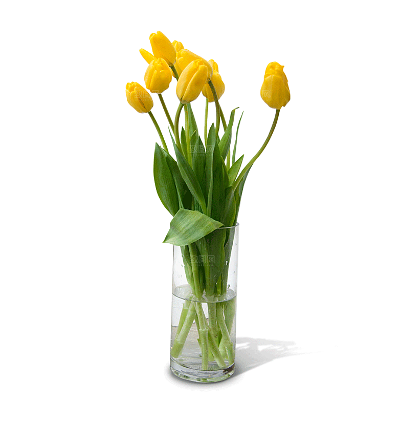 卡通手绘郁金香花朵花卉背景PNG免抠