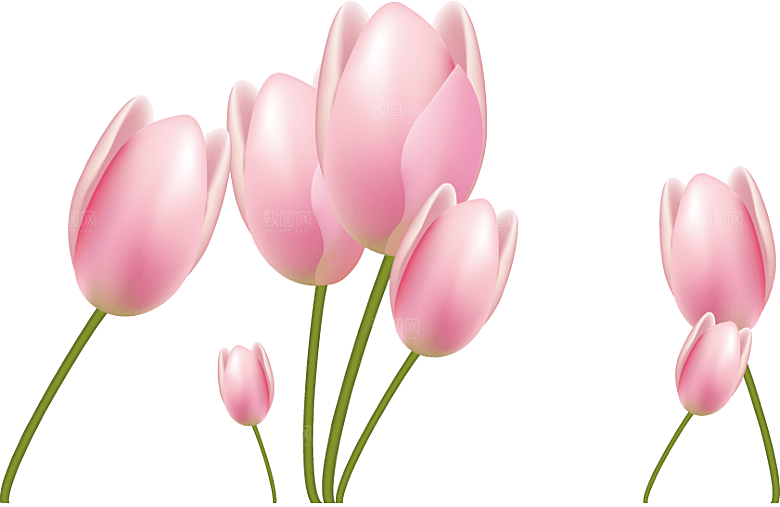 卡通手绘郁金香花朵花卉背景PNG免抠素材