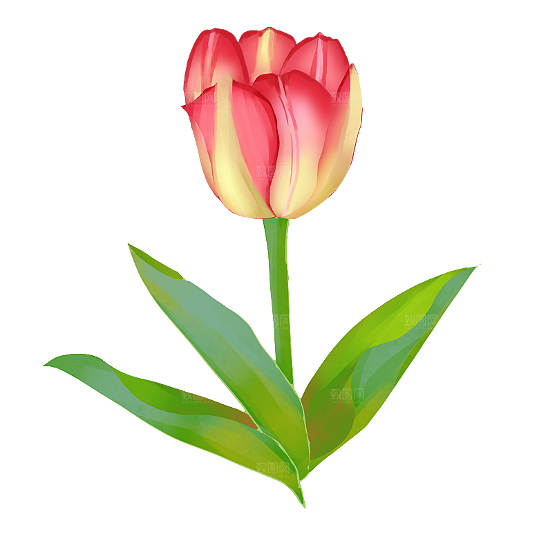 卡通手绘郁金香花朵花卉背景PNG免抠素材