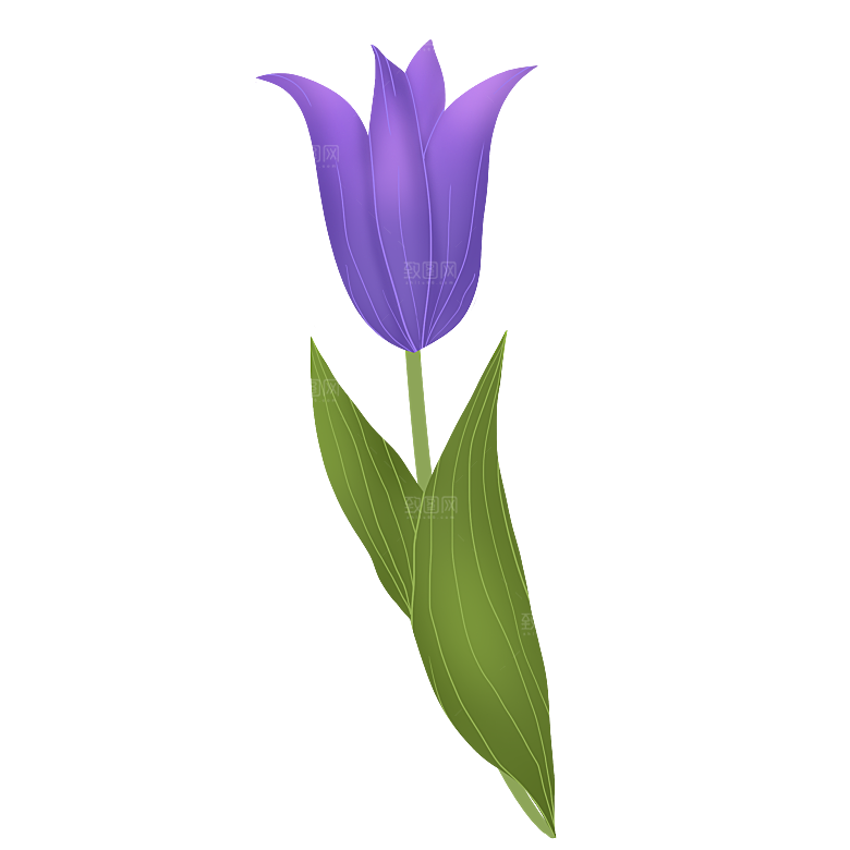 卡通手绘郁金香花朵花卉背景PNG免抠素材