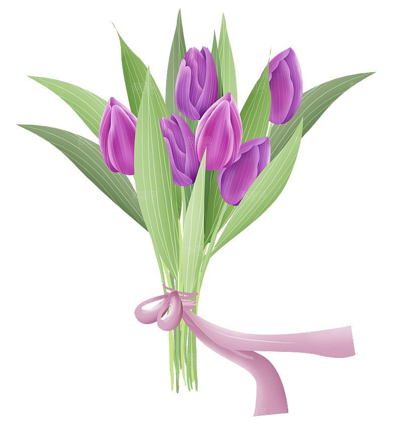 卡通手绘郁金香花朵花卉背景PNG免抠素材