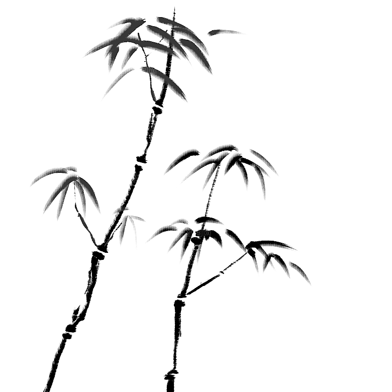 (134)2000x2000