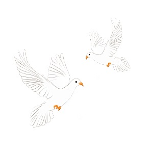 卡通和平信鸽飞翔插图PGN手绘白鸽素材