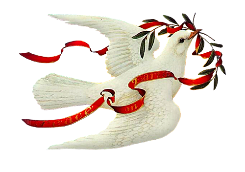 卡通和平信鸽飞翔插图PGN手绘白鸽