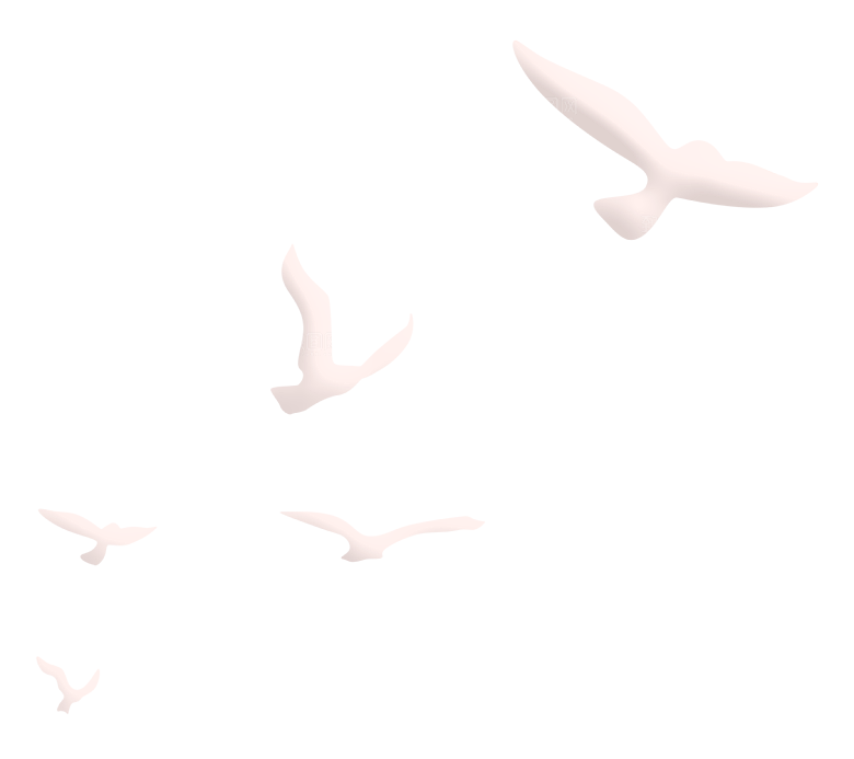 卡通和平信鸽飞翔插图PGN手绘白鸽素材