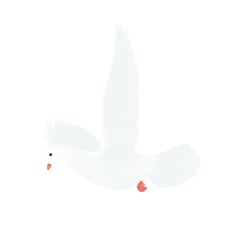 卡通和平信鸽飞翔插图PGN手绘白鸽素材