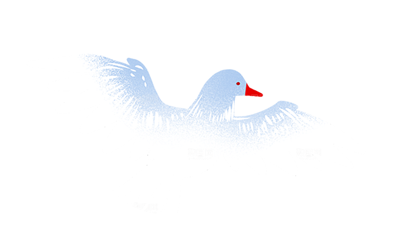 卡通和平信鸽飞翔插图PGN手绘白鸽