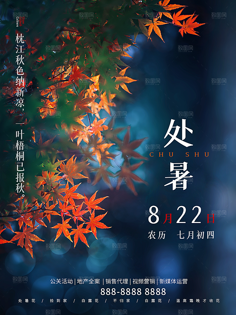 处暑节气简约大气海报
