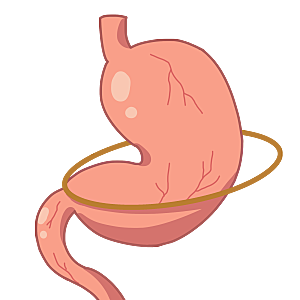 卡通消化系统胃人体器官肠胃痛PNG