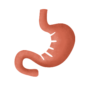 卡通消化系统胃人体器官肠胃痛PNG素材