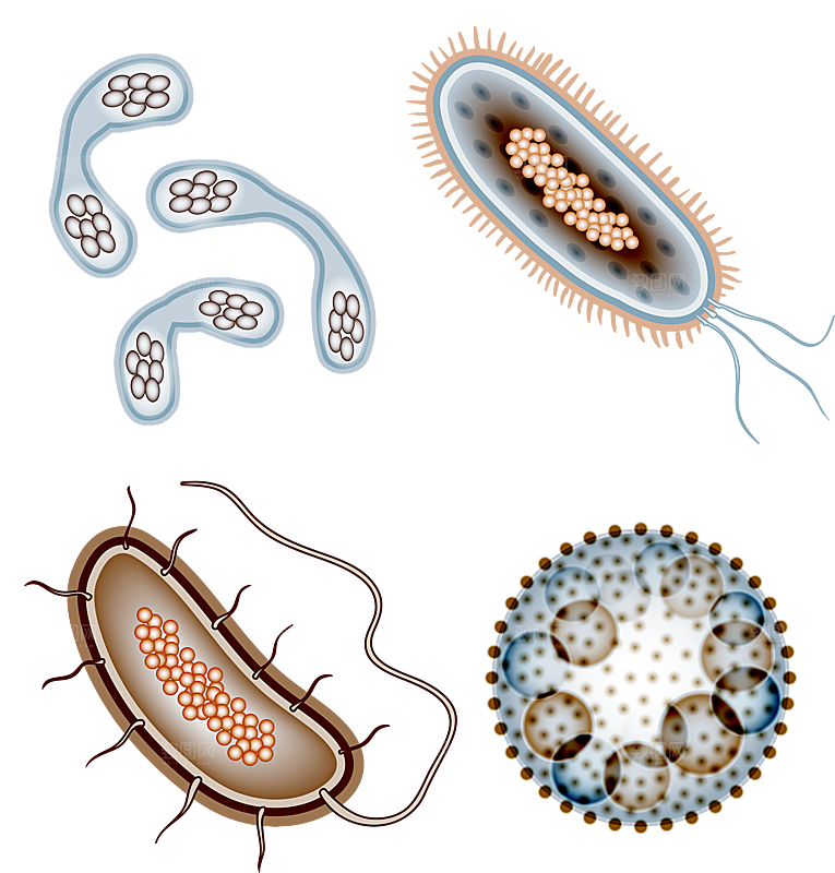 生物医学卡通流行病毒细菌细胞基因医疗