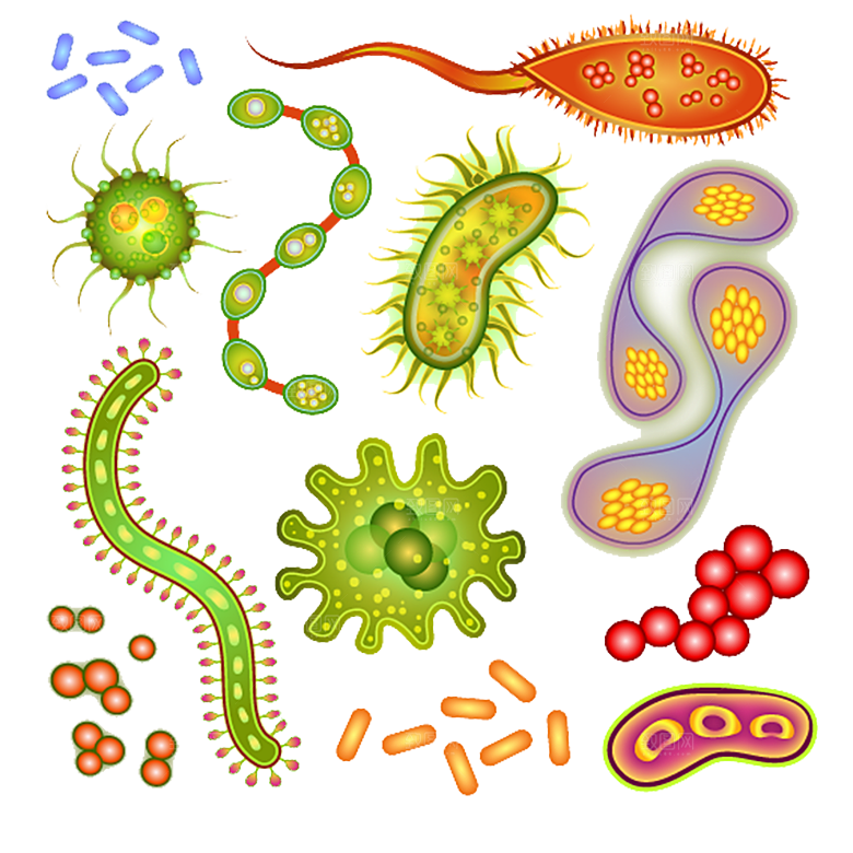 生物医学卡通流行病毒细菌细胞基因医疗素材