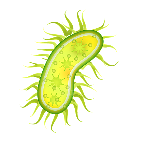 生物医学卡通流行病毒细菌细胞基因医疗