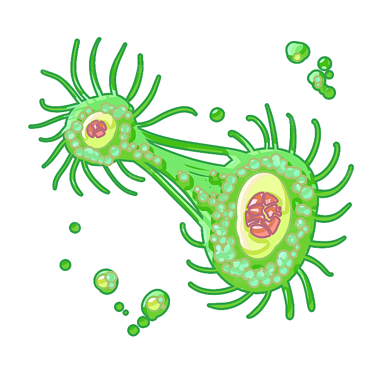 生物医学卡通流行病毒细菌细胞基因医疗