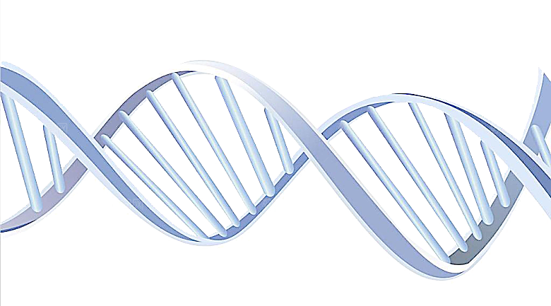 卡通生物基因DNA化妆品医疗化学分子
