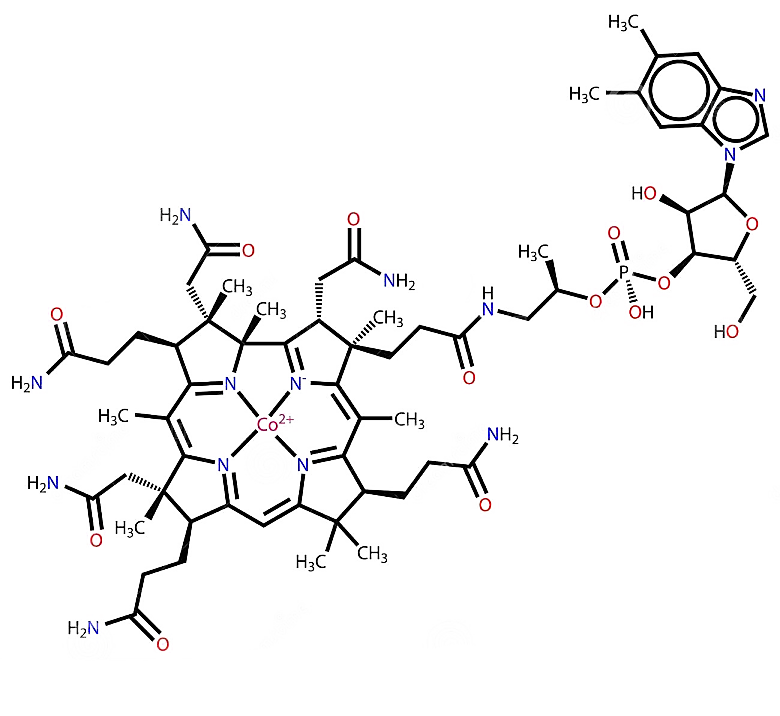 卡通生物基因DNA化妆品医疗化学分子