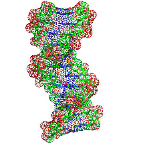 卡通生物基因DNA化妆品医疗化学分子
