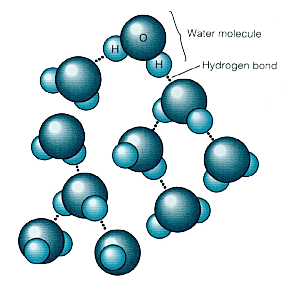 卡通生物基因DNA化妆品医疗化学分子素材