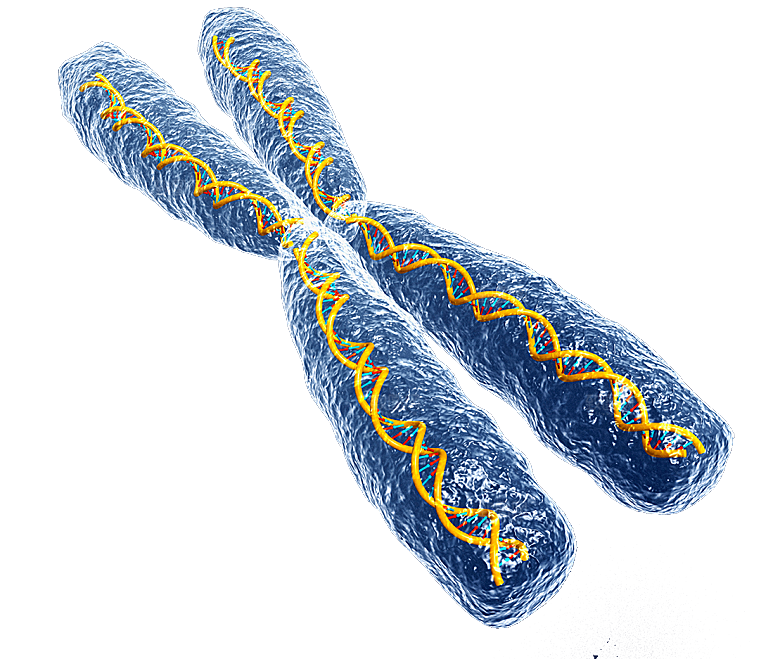 卡通生物基因DNA化妆品医疗化学分子素材