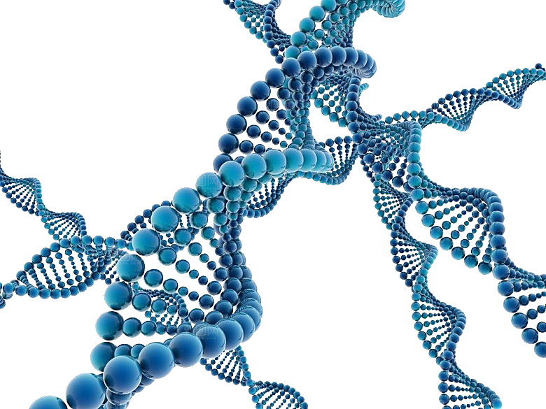 卡通生物基因DNA化妆品医疗化学分子