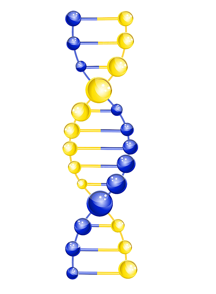 卡通生物基因DNA化妆品医疗化学分子