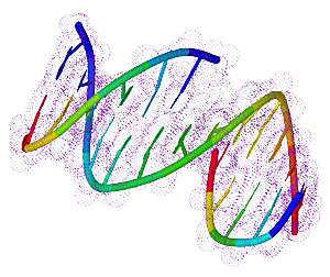 卡通生物基因DNA化妆品医疗化学分子素材