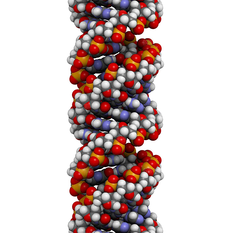 卡通生物基因DNA化妆品医疗化学分子素材