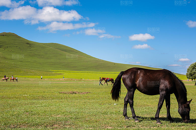内蒙古旅游自然风景摄影封面照片内蒙古景
