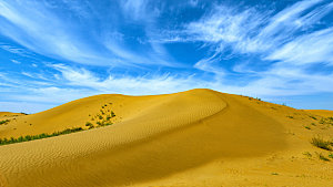 内蒙古库布其沙漠秋季景观