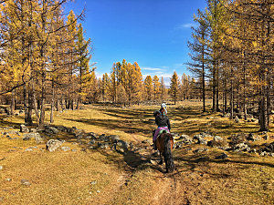 内蒙古旅游自然风景摄影封面照片内蒙古景