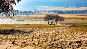 内蒙古草原上秋季远景