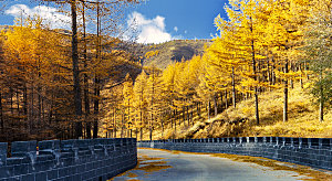 内蒙古苏木山国家公园秋色