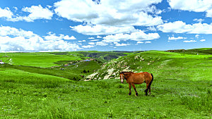内蒙古大草原夏季景观
