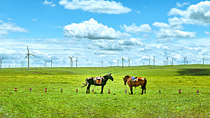 内蒙古夏季草原风光