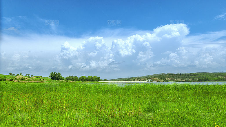内蒙古夏季草原牧场景观